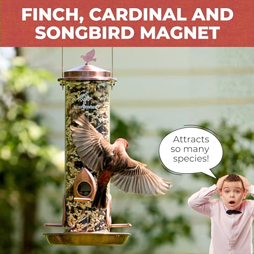 Very Berry Wild Bird Seed for Outside Feeders, Fruit Nut Bird Food, 5 lb | bird seeds for outside wild birds, dried fruit and berries with sunflower hearts, no milo or fillers, made in USA