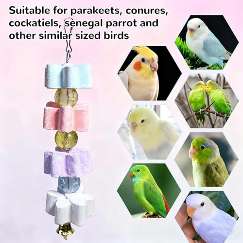 6Pieces Parrot Beak Trimmer Bird Beak Grinding Stone Teeth Lava Block Mineral Calcium Rock Chewing Toys with Bell for Parakeet Conure Budgies Rabbit Chinchilla Hamster - size: 6Pieces