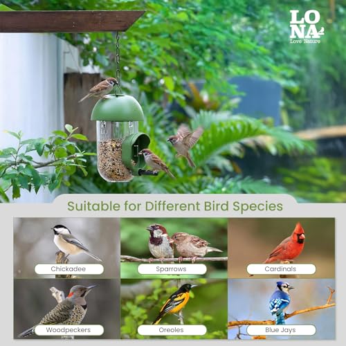 ‌LONA 2 Pack Tube Bird Feeders, Weatherproof Design with 1 Feeding Port | Easy-fill Top Design, 2 Ways for Hanging, Suits Mixed Seeds, Squirrel-Proof Bird Feeder for Backyard/ Garden/ Patio, Green - size: 1 Port ×2