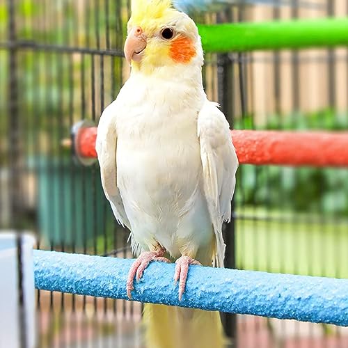 Hamiledyi 4 PCS Parrot Perch Stand Toy 7.9x0.8inch Bird Cage Perch Natural Paw Grinding Stick for Medium Parrots Parakeets Cockatiels Lovebirds Chewing Stick (M)