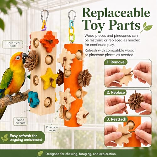 Bird Foraging Toy Parakeet Enrichment Puzzle Parrot Foraging Toys Wooden Blocks with Pine Cones Chew Play for Budgies Cockatiels Conures Quaker Small to Medium Birds
