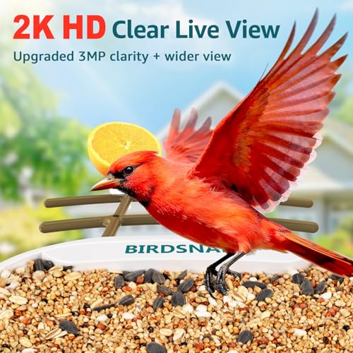 birdsnap® TUC Bird Feeder with Camera Solar Powered 2K Video with 32GB Card | AI Bird Species Identification, Squirrel-Proof, IP65 Waterproof, Outdoor Wireless, 2.4G WiFi, Gift for Mom Dad Bird Lovers - color: Light Brown