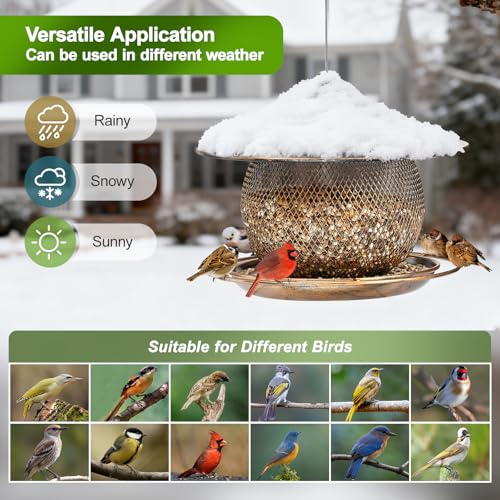 LBTING Bird Feeder, Wild Bird Feeder, Round Lantern-Shaped | Metal, For Hanging Outside Outdoors Garden Yard - style: Round Large