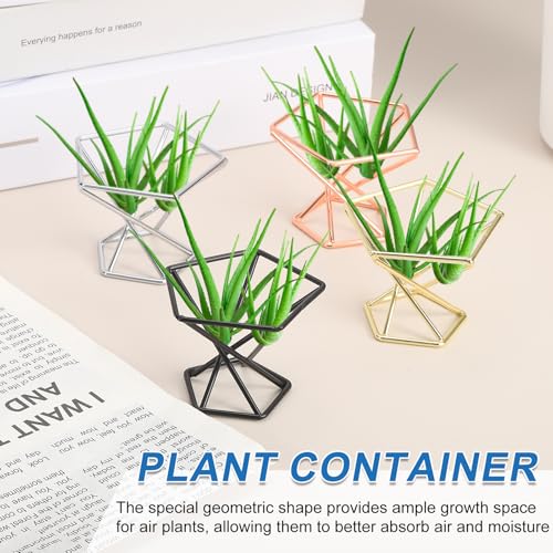 6Pcs Air Plant Holder, Makeup Sponge Drying Holder Rack, Tabletop Air Fern Display Stand, Makeup Beauty Egg Dry Stand for Dressing Table Home Decoration, Black (56x56x42mm)