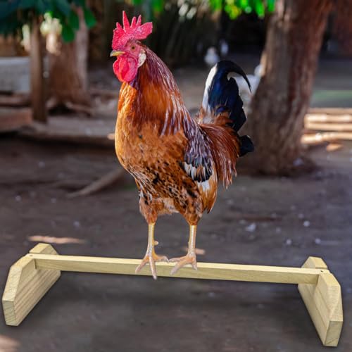 2pcs Wooden Chicken Perch Roosting Bar Chick Jungle Gym Perch Stand for Large Bird Baby Chicks Parots