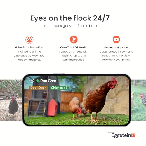 Smart Coop with Base – Weatherproof, Predator-Proof Chicken Coop with Dual Smart Cameras, Automatic Door, Solar Optional for 4-6 Chickens - size: 31.0"L x 30.0"W x 40.0"H