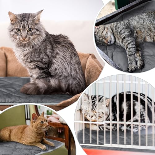 4 Pack Self Heating Cat Pad Self Warming Dog Mat Reflects Body Heat Extra Warm Thermal Pet Pad Washable Dog Cat Bed Crate Bed Mat Blanket(Gray,19 x 27.5 Inch) - color: Gray, size: 19 x 27.5 Inch