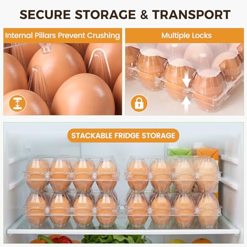 HANSGO 60 PCS Plastic Egg Cartons Cheap Bulk with Date Labels, 12 Count | Clear Reusable Egg Containers for Fresh, Medium Eggs Storage, Suitable for Farms, Families, Markets Display - color: 60PK-12CT