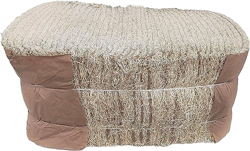 DUNCAN'S FAMILY FARM STORE Duncans Poultry 13x13 Excelsior Nest Pads Bundle of 40 - size: 40 Pack