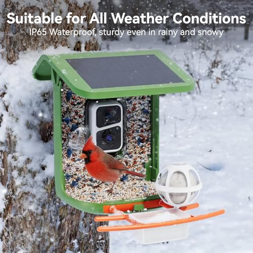 Bird Feeder with Camera Solar Powered, 5GHz, 2K HD Live 1.8L AI Bird | 2.4g WIFI,Bird Instant Alerts, 1.8L Large-Capacity Hopper, Weatherproof Design, Easy Refill, Gift for Bird Lovers (Green) - color: Green