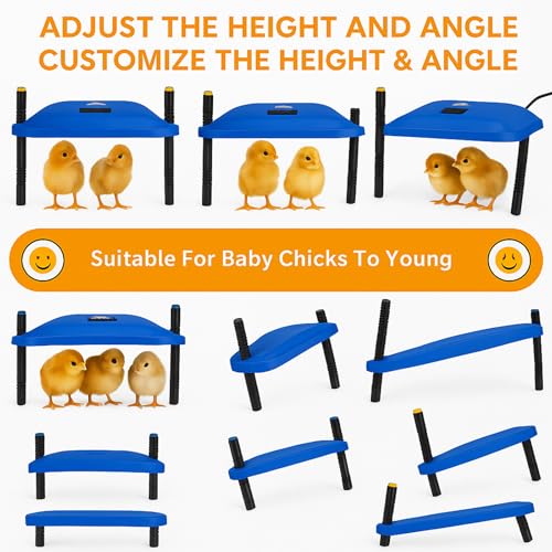 Adjustable 16x16 brooder Heating Plate for Baby Chicks, Providing Constant, efficient Warmth. Safe, Energy-Saving, Easy to Assemble and Clean. Perfect for Chicken Brooding (Blue)