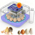 Incubators for Hatching Eggs with Digital Display, Chicken Incubator with Temp & Humidity Control, Auto Egg Turner, Auto Water Top-up, Egg Candler, Poultry Hatcher for Chicken Duck Goose Quail Eggs