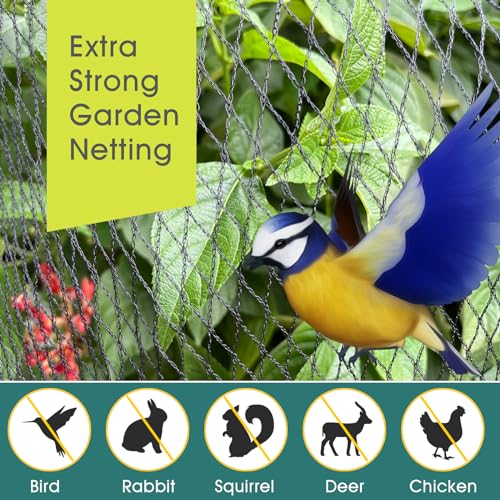 Bird Netting for Garden Protection, Anti Bird Mesh Garden Netting 13 x 40FT | RIFNY Heavy Duty Netting with Staples for Vegetable, Fruit Trees & Other Plants, Lasting Against Deer Squirrels and Poultry - size: 13 x 40 FT