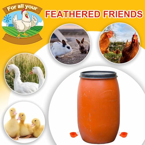 Tanlade 50 Packs Chicken Waterer Cups Large Chicken Feeder, Automatic Waterer Cups Kit for Poultry Chicks Duck Goose Turkey Bunny(Orange) - color: Orange