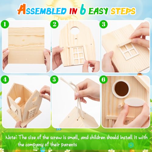 Liliful Wooden Bird House Kits, Build It Yourself Woodworking Kit for Adult Kids 4-8, 8-12 with Paint and Paintbrushes, Solid Weather Proof Natural Pine Wood, Pre Drilled(1 Pack,Rural Style) - style: Rural Style