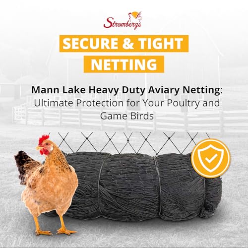 Stromberg’s 2” Mesh Heavy Duty Knotted Aviary Netting, UV Resistant Polyethylene Fiber for Birds, Pheasants & Poultry, 85 Lbs Break Strength Durable Against Weather and Predators, Size 100' x 100' | UV Resistant Polyethylene Fiber for Birds, Pheasants & P