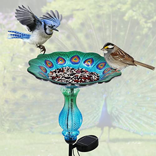 John's Studio Peacock Bird Bath for Outdoor - Glass Bowl Solar Light Cage Outside Dish Bird Feeder with Metal Stake for Garden, Yard and Patio - 32 inches - color: Peacock Stake