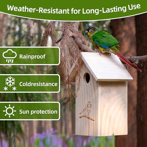 Wooden Bird Houses for Outside Hanging, Decorative Outdoor Clearence Birdhouse for Bluebird, Wren, Chickadee, Natural Wood & Colorful Roof, Ventilation