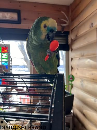 10-Pack Bird Toys for Parrots – Natural Rattan and Plastic Bell Balls | Safe, Fun Cage Decor, Foot Exercise, 1.5'' - 5.5'' - size: 1.5'' - 5.5''