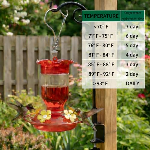 Hummingbird Feeders for Outdoors 2 Pack 12oz Plastic Leakproof | Wide Mouth Easy Clean, Clear Bottle, 5 Feeding Ports, Detachable Base, Weatherproof Hook, Compact for Small Yards