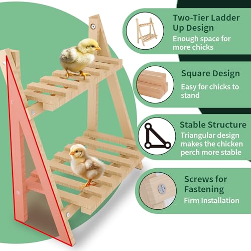 Chicken Perch,Strong Chicken Roosting Bars for Coop and Brooder,Foldable Chick Jungle Gym,Chicken Perch for Coop,Chicken Toys for Coop,Training Perch for Chick,Large Bird,Parrot
