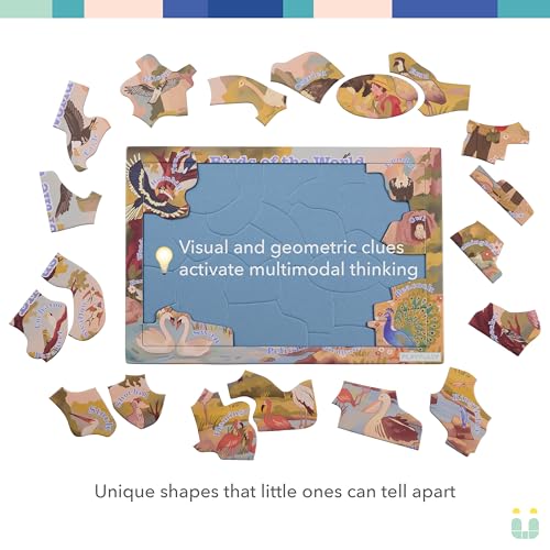 'Birds of the World' 25 Piece Puzzle with Frame for Kids Ages 3-5 | Lost Piece Guarantee | Unique Shapes | Child-Centric Design | Educational Toy for Cognitive Development, STEM, Fine Motor