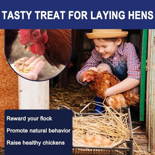 RANZ 8LBS Non-GMO Dried Mealworms for Chickens, High Protein Meal Worms, Premium Chicken Feed, Whole Large Mealworms for Blue Birds, Ducks, Fish - size: 8 Pound (Pack of 1)