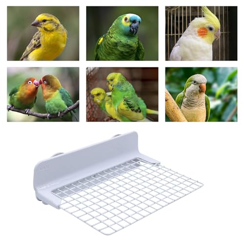 Bird Accessories for Cages, Iron Wire Standing Platform with Installation Accessories for Cage, Parrot Perch for Budgies, Cockatiels, Lovebirds, Green Cheeks, Small to Medium Birds