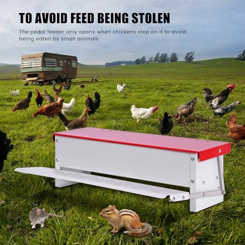 15lb Automatic Chicken Feeder Rat Proof for Duck | Large Treadle Poultry Feeder with Rainproof Lid, Solid Metal Material, No Waste Design, Keeping Feed Dry