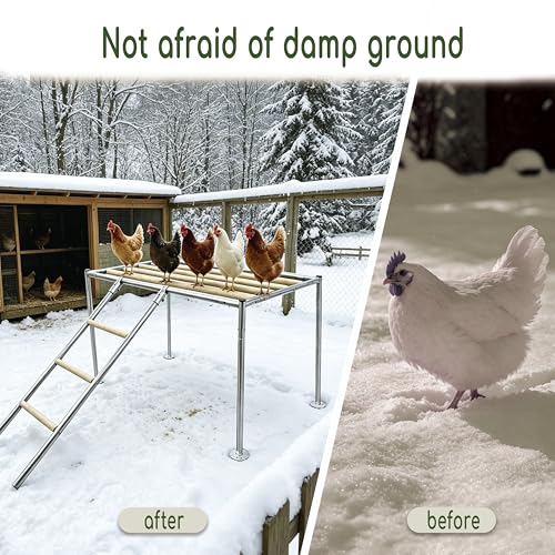 XCL Chicken Roosting Bars Large, Chicken Perch for Coop,Metal Frame Wood Chickens Perch for Backyard Poultry Roosting, Easy to Assemble Clean, Farm Chicken Toys, Accessories (Platform 42" L x 24" W)