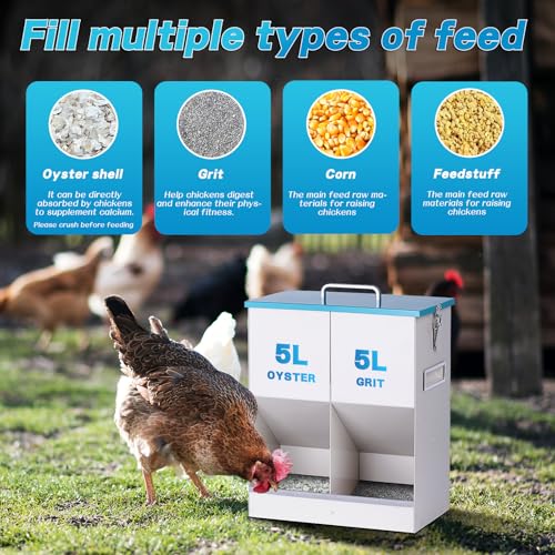 10L Chicken Grit and Oyster Shell Feeder Combo with Lid Hanging Duck Feeder Automatic Metal Gravity Chicken Feeder Poultry Coop Accessories for Goose Hens Eggs (Blue)