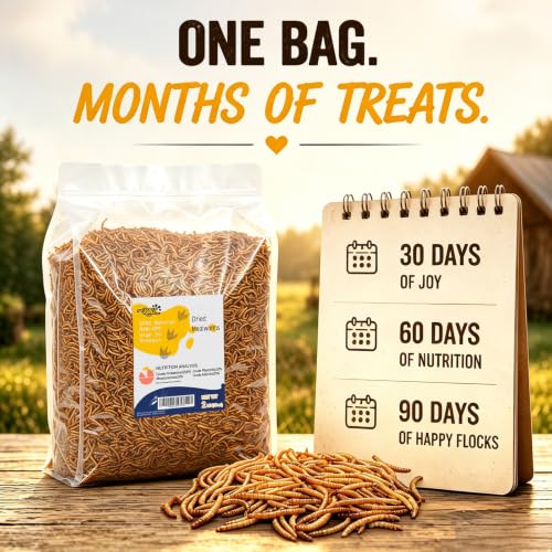 RANZ 2LB Dried Mealworms for Chickens & Wild Birds, High Protein Poultry Treat - size: 2 Pound (Pack of 1)
