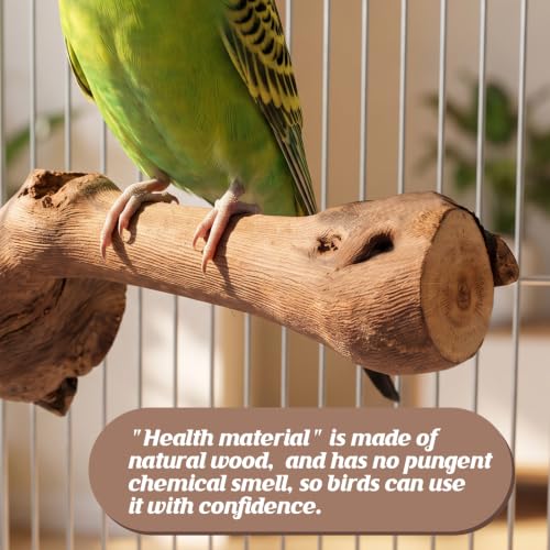 5PCS Bird Perch Stand Natural Wooden Parrot Stand Branch,3 Grape Wood Perch,2 Stand,Paw Grinding Fork Parakeet Chewing Stick Exercise Training Branches for Cockatiels,Small Medium Birds