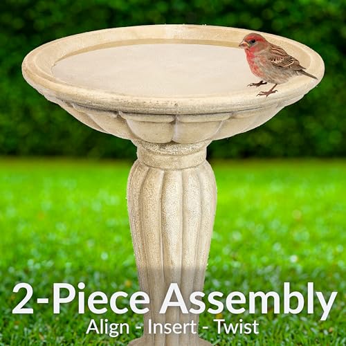 Sunnydaze Grecian Concrete Bird Bath for Outside, 20” H, Antique White | 1/2 Gal Water Capacity, Glass Fiber Reinforced Concrete, 2-Piece Stone Birdbath, Easy Assembly, Cement Bird Bath for Outdoors - color: Antique White