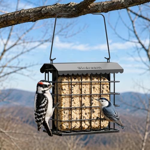 Birdream Double Suet Bird Feeders for Outdoors, All Metal Bird Suet Cakes Cage Holder with Weatherproof Roof, Easy to Refill & Clean, Attract Woodpeckers, Chickadees, Nuthatches, Black