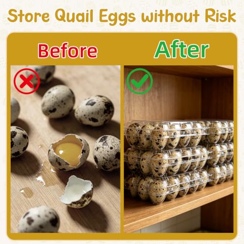 100 Pack Quail Egg Cartons, 12 Count Clear Egg Trays with Lids | Small Egg Storage Holders, Plastic Bulk Egg Boxes for Quail, Pheasant, Pigeon Refrigerator Storage and Display