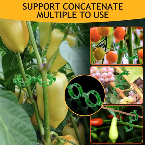 Secured Plant Support Clips - Heavy Duty Tomato Clips for String Trellis 200Pcs, Grape Vine Grid Clamp for Garden Netting Climbing Plants, Fixing Stem and Vine (Green) - color: 200pcs Green