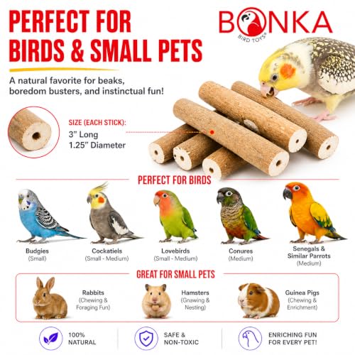 1211 Pk6 Natural Bark Sola Sticks, 6-Pack, 3" Long, 1.25" Diameter, Soft Chew and Foraging Toy for Birds, Parrots, Parakeets, Cockatiels, Lightweight, Natural, Safe, Eco-Friendly | Natural sola root sticks with center holes for chewing, shredding, toy mak