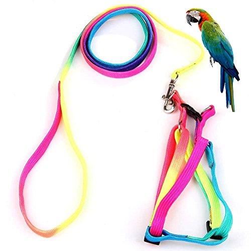 Hypeety Bird Harness and Leash with Buckle Adjustable Bird Vest for Outdoor | Adjustable chest 5.1-12.9'', adorable rainbow design, escape-proof buckles, anti bite training rope for macaw/large bird, M - size: 0.39 × 47.24 in