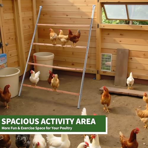 VINGLI Chicken Roosting Bars, Chicken Coop Roosting Perch, Roosting Ladder for Hens, Easy to Assemble for Backyard Poultry (41.3" L x 56.7" H) - size: 41.3"L x 56.7"H