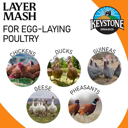 Layer Mash Chicken Feed, 44lb | Non-GMO, High Calcium for Strong Eggshells, For Chickens, Ducks, Geese, Pheasants & Guineas, No Artificial Hormones