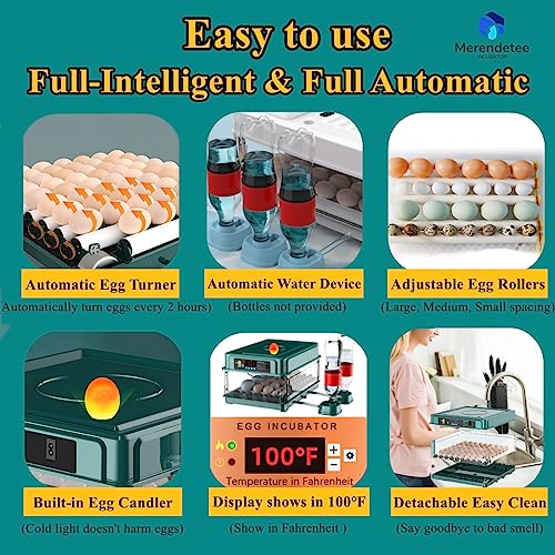 Egg Automatic Incubator | 24-60 Eggs, Intelligent Incubators for Hatching Eggs, Poultry Hatching Machine, For Chicken Duck Goose Quail Bird Pigeon
