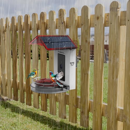 Solar Smart Hummingbird Feeder 1080P Camera 2.4Ghz Wi Fi | AI Bird Recognition Leak Proof Hanging Design Wide View Lens Ideal for Outdoor Garden Bird Watching Observation