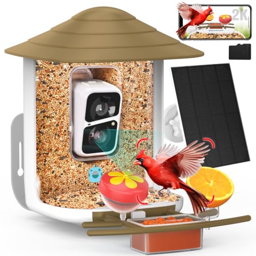 birdsnap® TUC Bird Feeder with Camera Solar Powered 2K Video with 32GB Card | AI Bird Species Identification, Squirrel-Proof, IP65 Waterproof, Outdoor Wireless, 2.4G WiFi, Gift for Mom Dad Bird Lovers - color: Light Brown