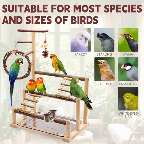 Bird Playground, Natural Wooden Parrot Stand Suitable for Small and Medium Birds, with Feeding Cups, Swing, Chew Toys,Bird Perch Ideal for Parakeets, Budgerigars,Canaries,Conures