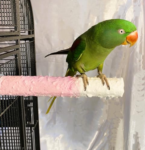 Polly's Edible Cuttlebone Calcium Bird Cage Perch for Budgies, Parakeets, Amazons, Blue & Golds, Macaws and Cockatoos.… (Strawberry, Large) - color: Strawberry, size: Large