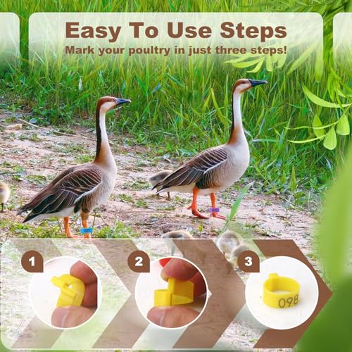 100 Pieces 16 mm Chicken Identification Leg Bands, Colorful 01-100 Numbered Duck Ankle Chicken Foot Tags Bracelets, Clip on Poultry Leg Bands Ring for Hens Chicks Goose Turkey ID (0.62'' (16 mm))