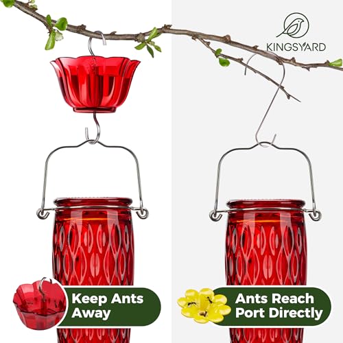 Kingsyard 2 Pack Glass Hummingbird Feeder for Outdoors with Ant Moat | 24 oz, Wide-Mouth Opening, 6 Metal Feeding Ports, Bee Guard, Easy to Clean & Refill Nectar, 360 Degree Perch, Red - color: Red