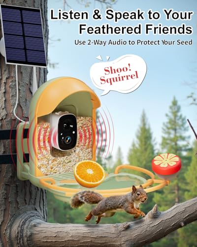 Bird Feeder with Camera, Bird Bath, Solar Powered, 2K HD, Wireless | Enjoy crisp 2K video, AI bird recognition, solar charging, bird bath design, night vision and instant app motion alerts. - color: Light Green, size: With BirdBath