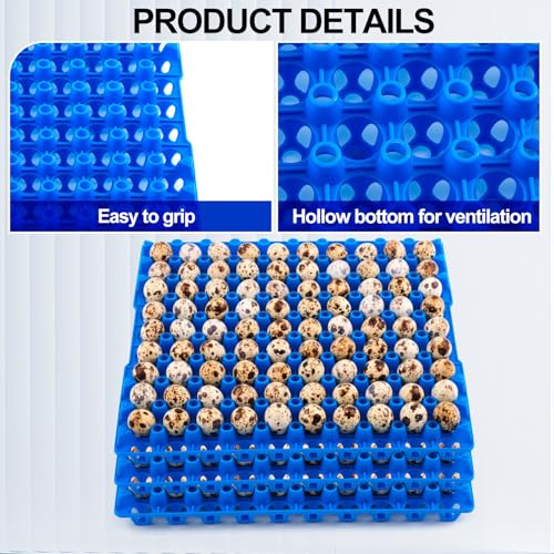 Teenyyou 10 Pcs 90 Egg Plastic Trays Quail Egg Flats Holder for Quail Pigeon Dove Bird Flat Carton (Blue) - color: Blue